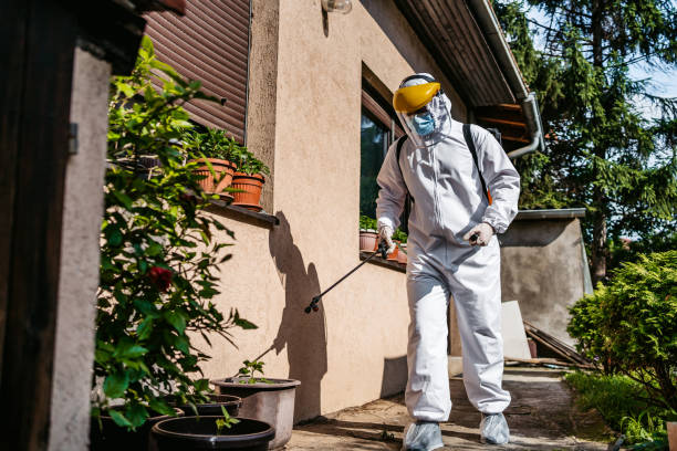 Best Residential Pest Control  in Petersburg, IL