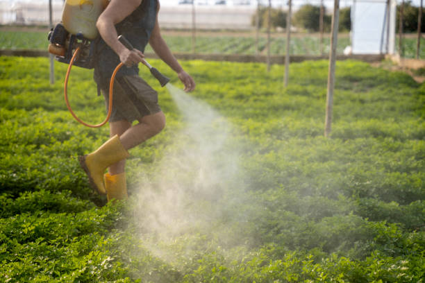 Trusted Petersburg, IL Pest Control Experts
