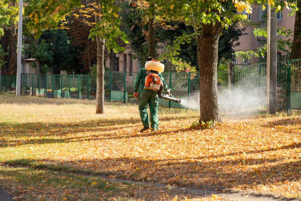 Best Termite Control Services  in Petersburg, IL