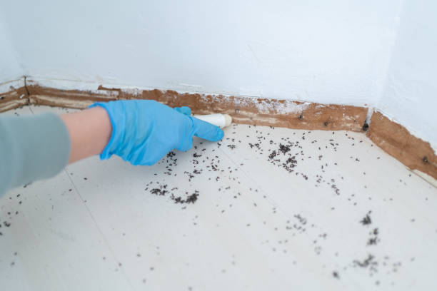 Best Exterminator Services  in Petersburg, IL